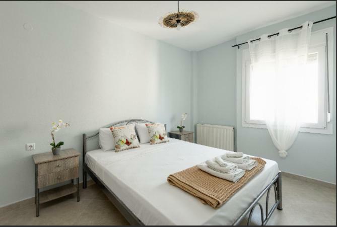 Bright Spacious Two-Bedroom Apartment テッサロニキ エクステリア 写真